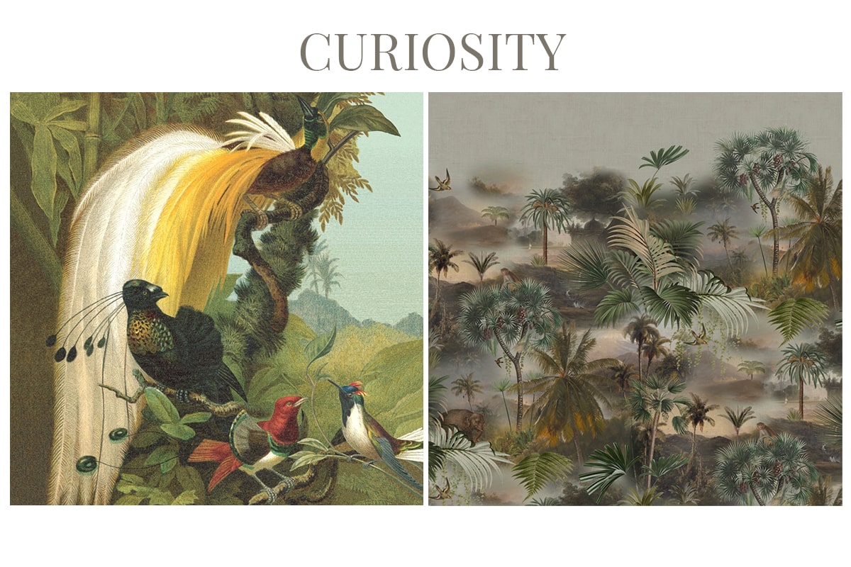 wallpaperเรียบหรู 