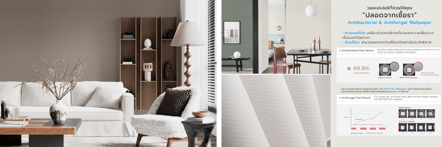 เชื้อราผนัง อันตรายต่อปอดมากกว่าที่คิด เปลี่ยนเป็นวอลเปเปอร์ยับยั้งเชื้อรา ที่บางกอกวอลเปเปอร์
