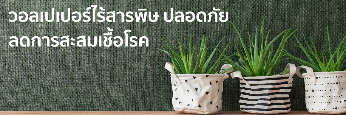 วอลเปเปอร์ธรรมชาติติดผนัง ไร้สารพิษอันตราย ยับยั้งแบคทีเรีย เชื้อรา และลดการสะสมเชื้อโรค ปลอดภัยกับผู้อยู่อาศัย